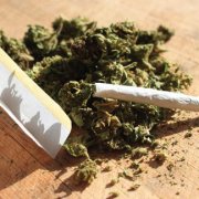 Cannabis information
